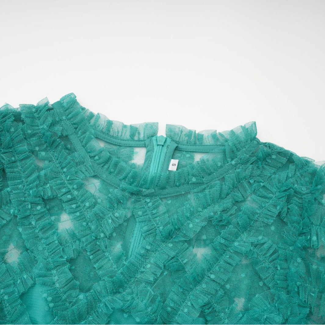 Round Neck High Waist Mesh Embroidery Dress