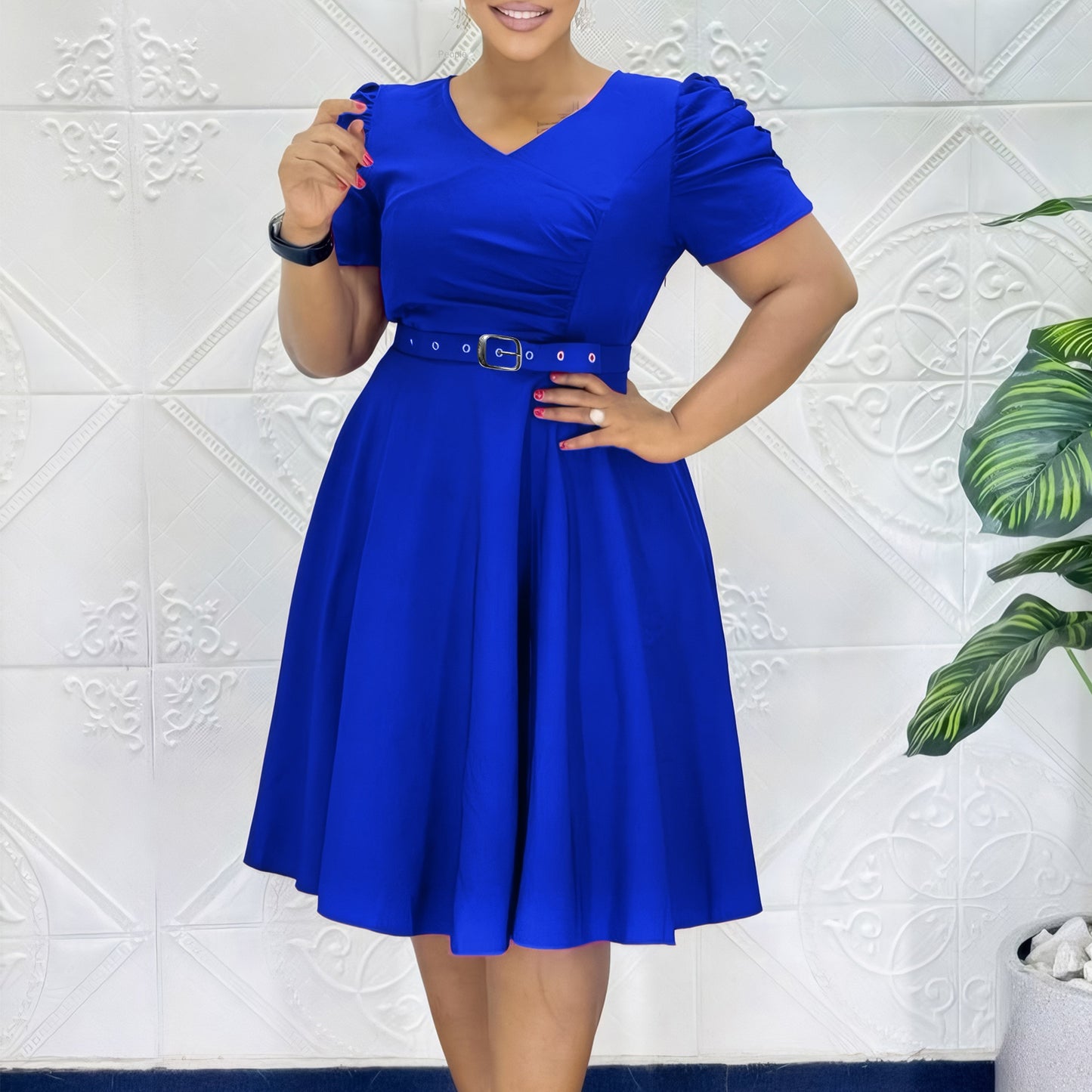 Pleated Elegant V-neck Flared Dress