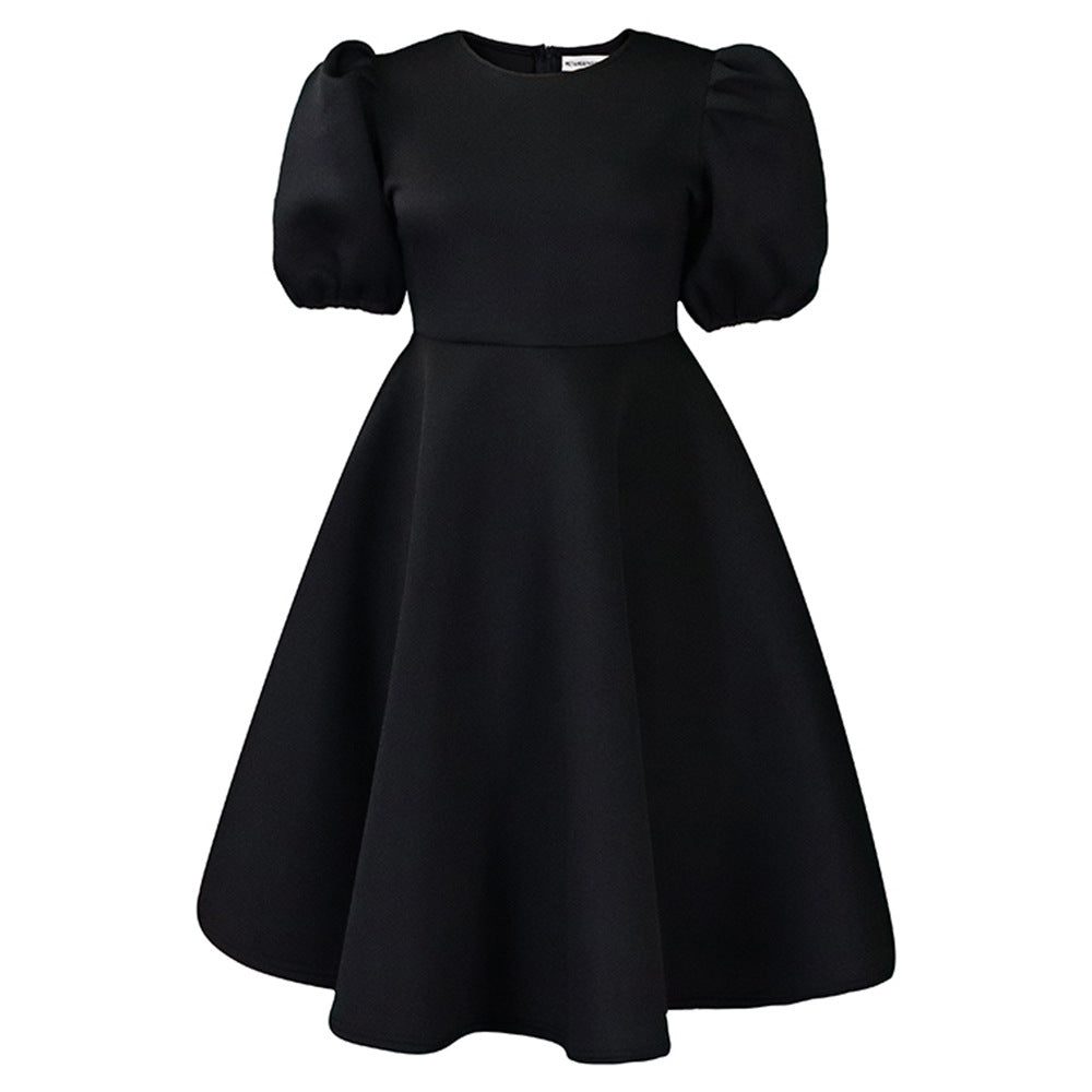 Elegant High Waist Flared Dress