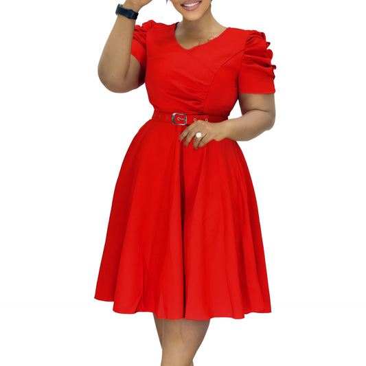 Pleated Elegant V-neck Flared Dress